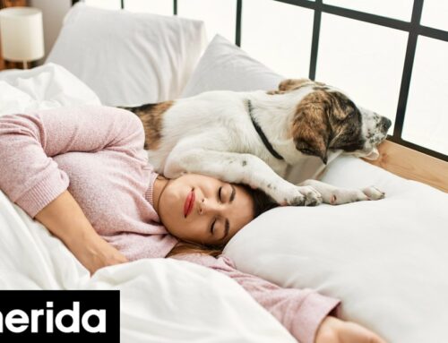 Οι άνθρωποι που κοιμούνται με τα κατοικίδιά τους στο κρεβάτι έχουν αυτά τα 7 χαρακτηριστικά, σύμφωνα με τους ψυχολόγους