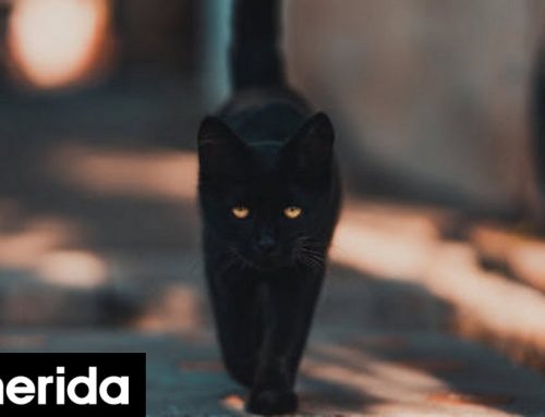 Πόσες φορές θα έχουμε Τρίτη και 13 το 2027 και ποιοι είναι οι «γρουσούζικοι» μήνες